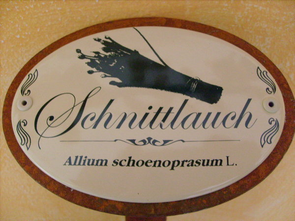 Emailschild Schnittlauch 30cm