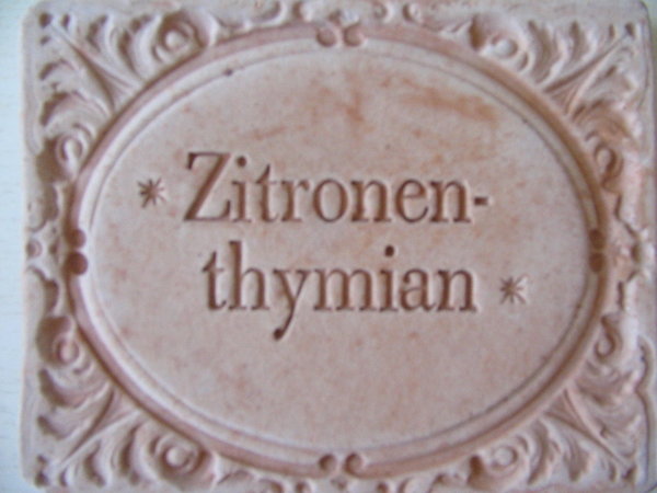 Zitronenthymian Terracotta Kräuterstecker  Kräuterschild