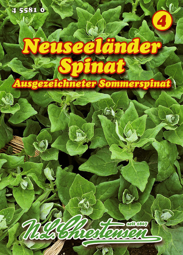 Neuseeländer Spinat Samen Saatgut Sprossen Gemüse Chrestensen